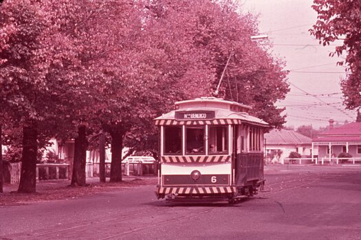 Bendigo 6 in Bridge St