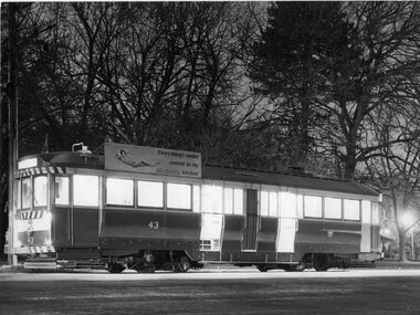 Photograph - Black & White Photograph/s, c1970