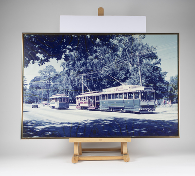 Framed Photographs