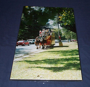 Photograph - Block Mounted Photograph, Carolyn Dean, 7/11/1992 12:00:00 AM