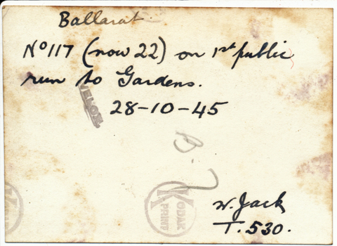 Notes on rear of print.