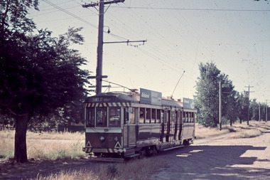 Slide - 35mm slide/s, Travis Jeffrey, c1961