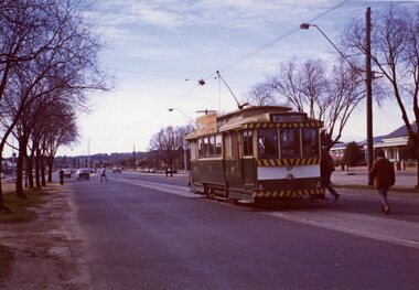 Photograph - Colour Photograph/s, Travis Jeffrey, 21/08/1971 12:00:00 AM