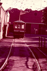 Slide - 35mm slide/s, Dave Macartney, Dec. 1968