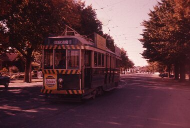 Slide - 35mm slide/s, Travis Jeffrey, c1962