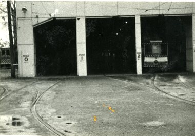 Photograph - Black & White Photograph/s, c1971