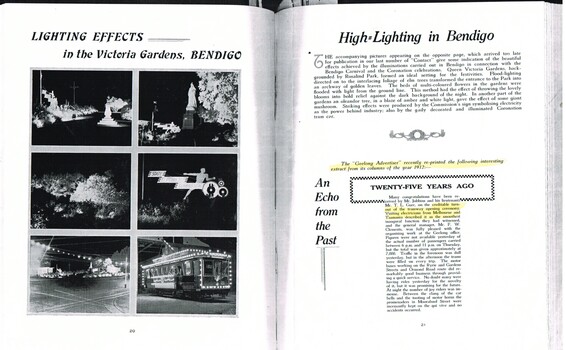 "Lighting Effects in the Victoria Gardens, Bendigo"