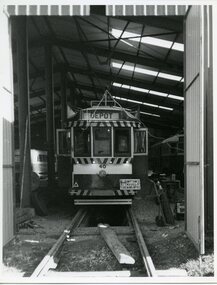 Photograph - Black & White Photograph/s, 8 or 9/1981