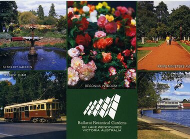 Postcard, Rose Stereograph Co, "Ballarat Botanical Gardens by Lake Wendouree