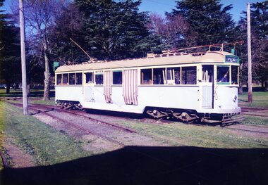 Photograph - Colour Photograph/s, Warren Doubleday, 10/1994?