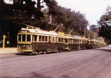 Postcard, Ron Scholten, Ballarat - Wendouree Parade - special trams