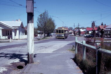 Slide - 35mm slide/s, Carolyn Dean, 3/11/1970 12:00:00 AM