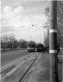 Photograph - Black & White Photograph/s, c1971