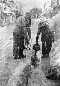 Photograph - Black & White Photograph/s, The Courier Ballarat, 21/11/1962 12:00:00 AM