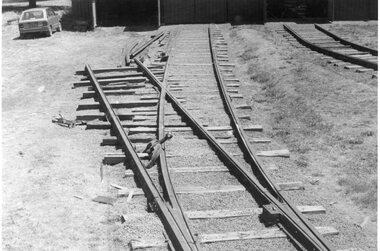 Photograph - Black & White Photograph/s, Dave Macartney, 8/02/1985 12:00:00 AM
