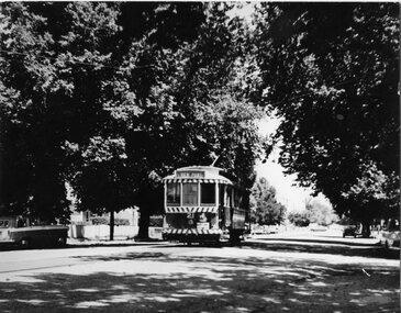 Photograph - Black & White Photograph/s, Jim Seletto, early 1960's