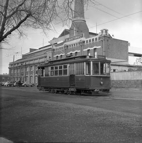 Photograph - B&W print of donated negative, John Webster, 21/08/1955 12:00:00 AM