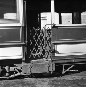Photograph - B&W print of donated negative, John Webster, 21/08/1955 12:00:00 AM