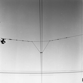 Photograph - B&W print of donated negative, John Webster, 21/08/1955 12:00:00 AM