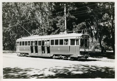 Photograph - Black & White Photograph/s, c1960's