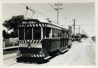 Photograph - Black & White Photograph/s, c1960's