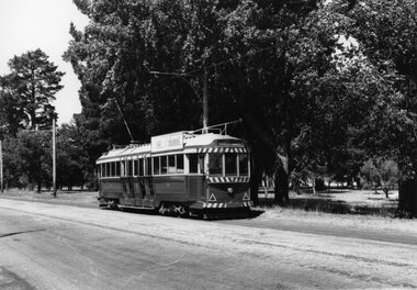 Photograph - Black & White Photograph/s, Wal Jack, 28/02/1962 12:00:00 AM