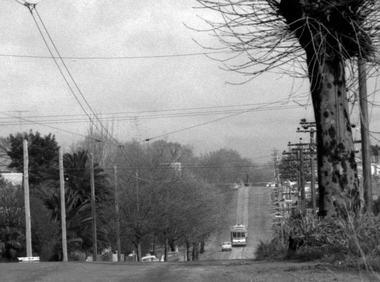 Photograph - Digital image, 1970s