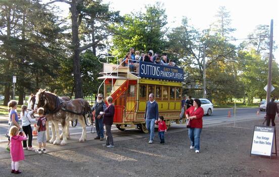 Museum horse tram operating 