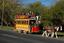 Museum horse tram operating 