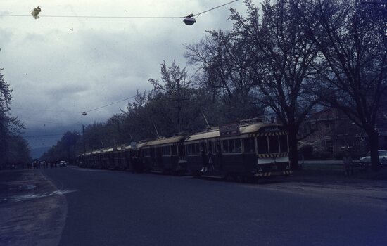 Tram tour - Sturt St West