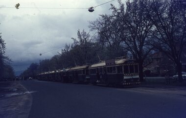 Tram tour - Sturt St West
