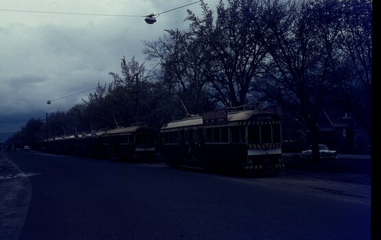 Tram tour - Sturt St West