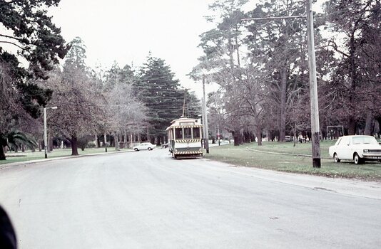 No. 21 heading northbound in Wendouree Parade