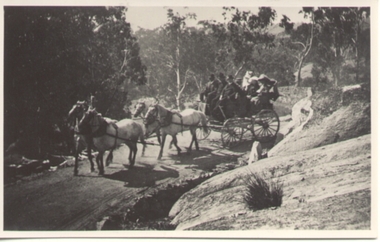 Photograph - Black & White Photograph/s, c1900