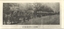 Line of horse trams Wendouree Parade