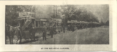 Line of horse trams Wendouree Parade