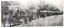 Line of horse trams Wendouree Parade