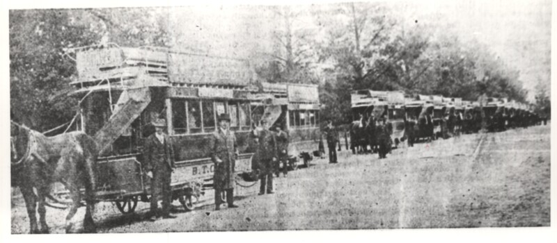 Line of horse trams Wendouree Parade
