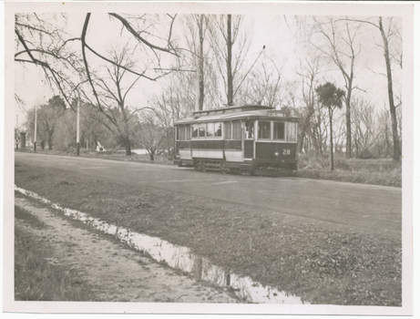 A vintage tram numbered 28 travels down a road lined with trees and a ditch.