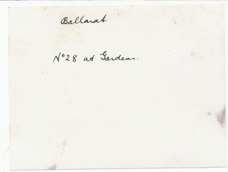 Notes on rear of print.