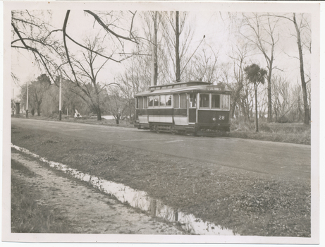 A vintage tram numbered 28 travels down a road lined with trees and a ditch.