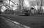 A vintage tram numbered 28 travels down a road lined with trees and a ditch.
