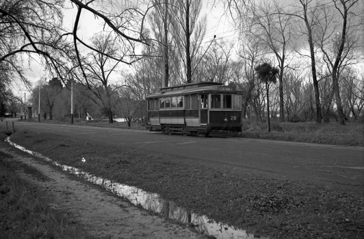 A vintage tram numbered 28 travels down a road lined with trees and a ditch.