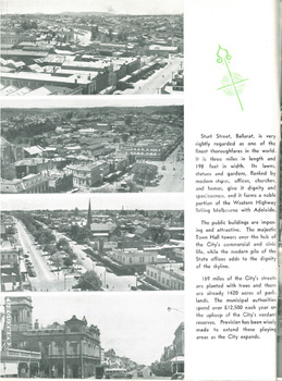"1953 Begonia Festival Program"