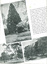 "1953 Begonia Festival Program"