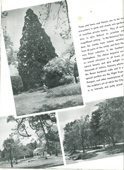 "1953 Begonia Festival Program"