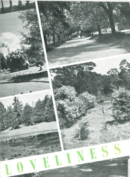 "1953 Begonia Festival Program"