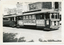 Two vintage trams are parked on a city street, covered in advertisements for "Tex is Back at the Ballarat Show" and "Hootenanny Show and Western," featuring "Tex Morton's Variety."