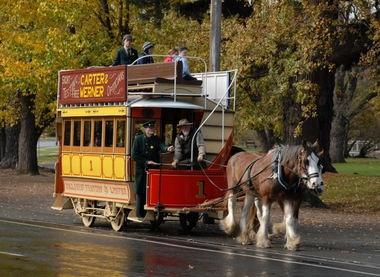 horse tram operating in Wendouree Parade