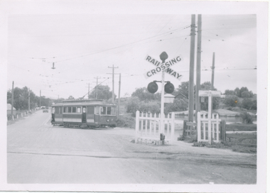 Photograph - Black & White Photograph/s, Wal Jack, 10/04/1950 12:00:00 AM